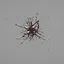 First Blood icon