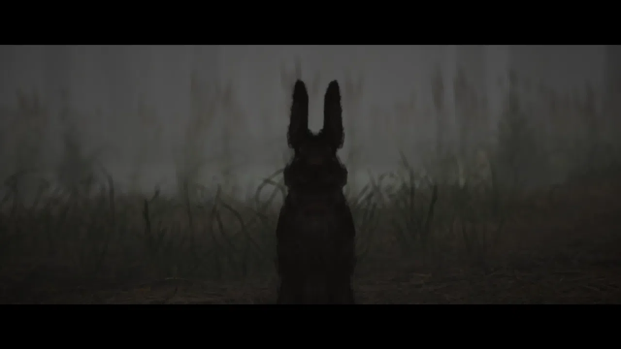 Shadow Warren Screenshot 5