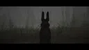 Shadow Warren Screenshot 5