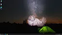 Get a cat Screenshot 4