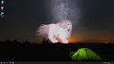 Get a cat Screenshot 5
