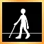 Expert icon