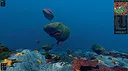 Ecosystem - Tropical Fish Pack Screenshot 3