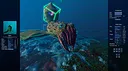 Ecosystem - Tropical Fish Pack Screenshot 9