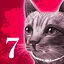 Hide & Seek Expert icon