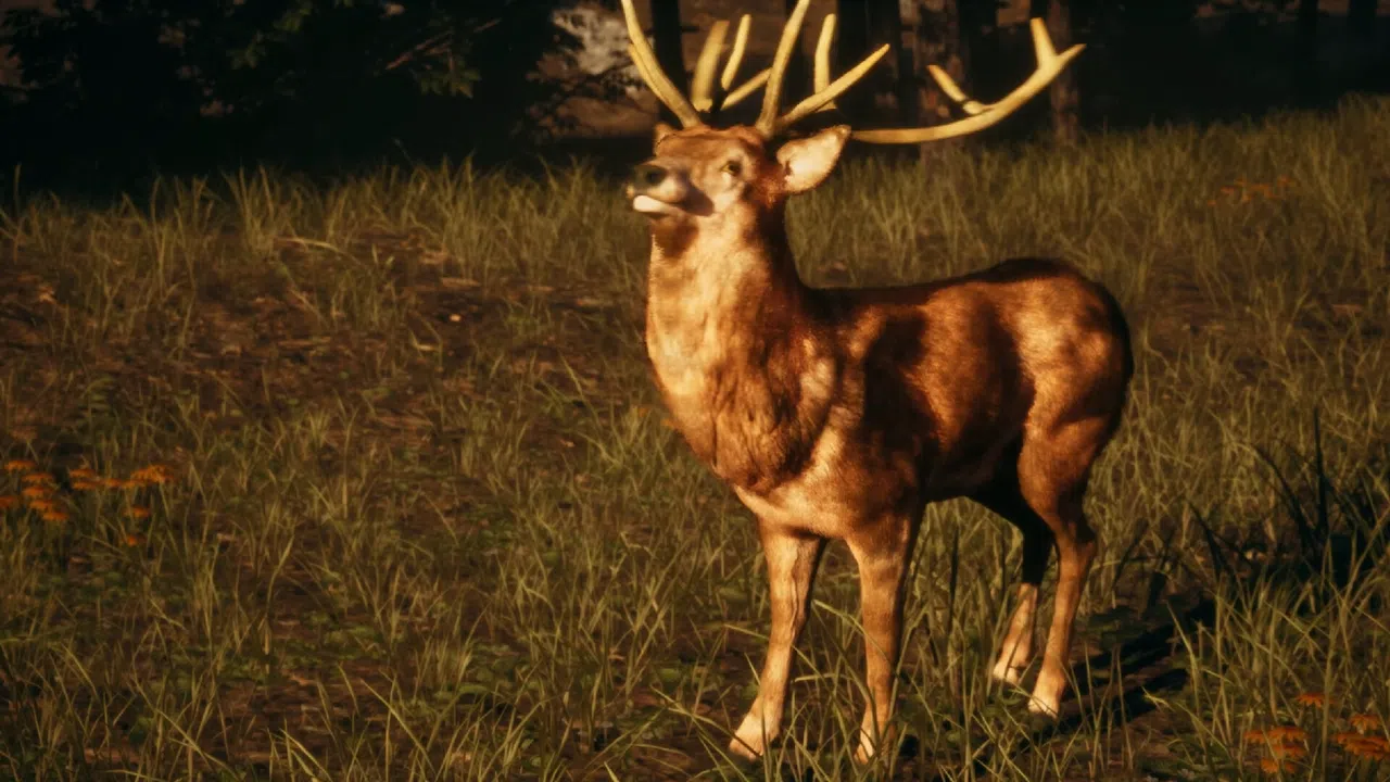 Cabin Curse Screenshot 5