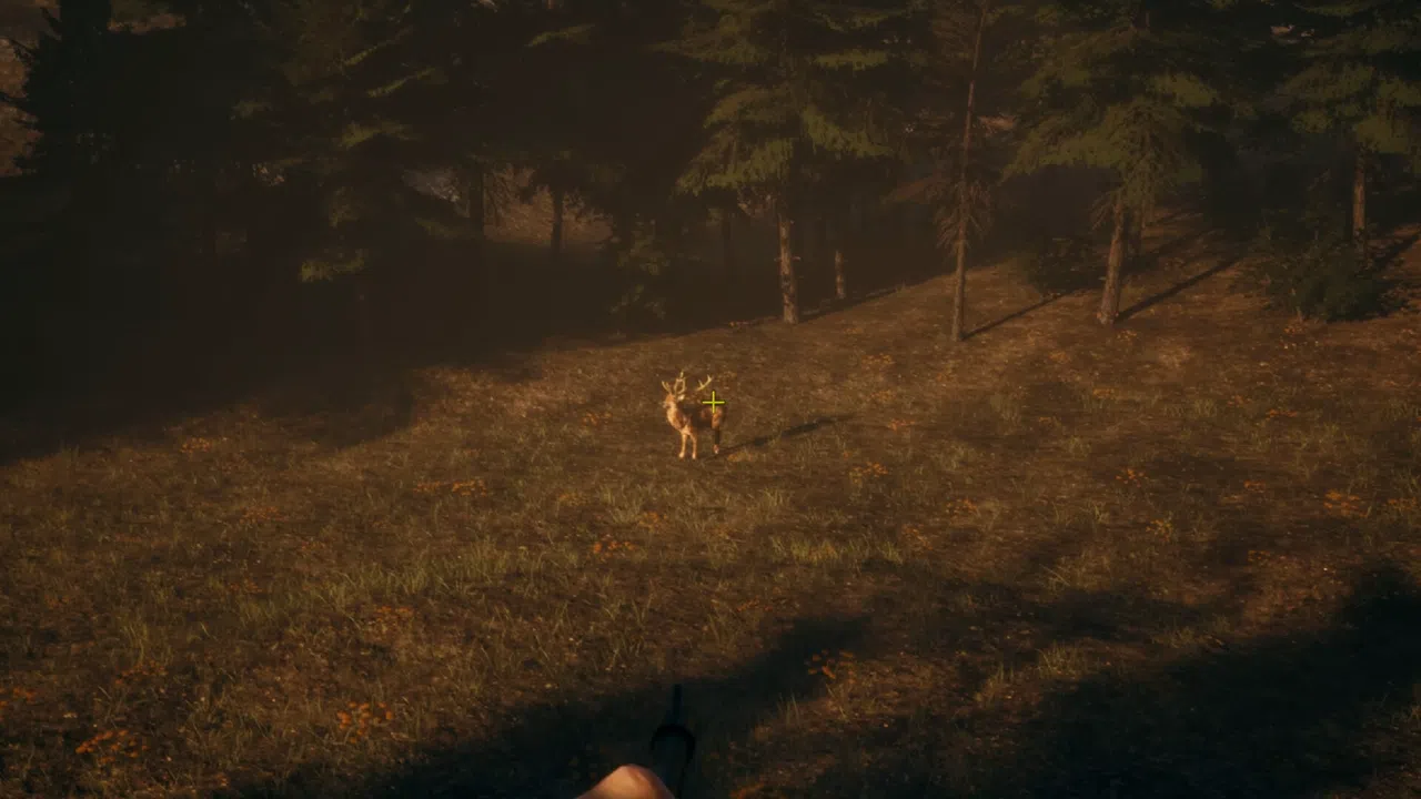 Cabin Curse Screenshot 2