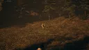 Cabin Curse Screenshot 2