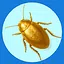 Golden Legend icon