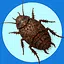 Fallout icon