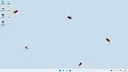 Cockroach! Screenshot 4