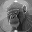 Level 30 icon