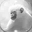 Level 5 icon