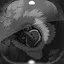 Level 46 icon