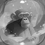 Level 3 icon