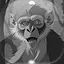 Level 11 icon