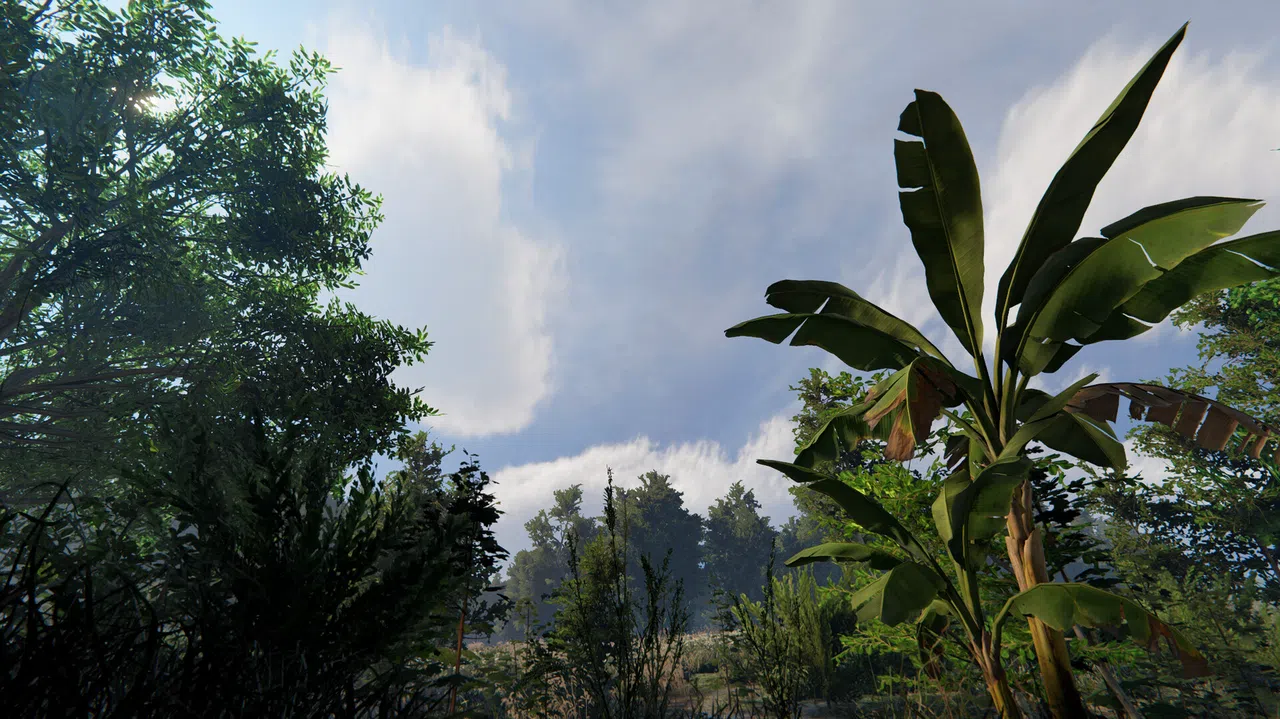 IMPUNES Screenshot 8