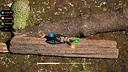 Ant Workers Simulator Screenshot 1