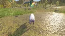 Hot Pig Jump! Screenshot 0