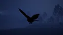 Eagle Legacy: Zero Screenshot 3