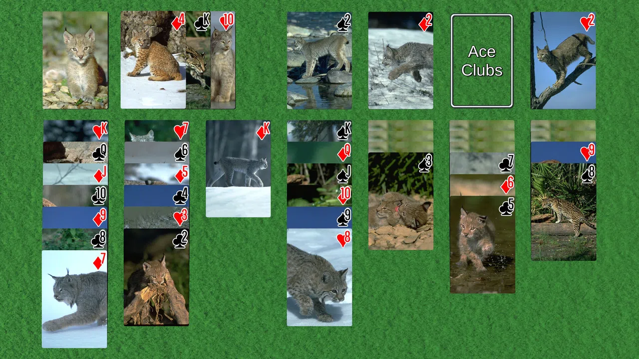 Wyvern Solitaire Deck Pack: Variety Screenshot 11