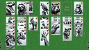 Wyvern Solitaire Deck Pack: Variety Screenshot 1