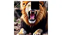 hgmGame-lion Screenshot 2