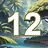 12 level completed