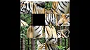 hgmGame-tiger Screenshot 3