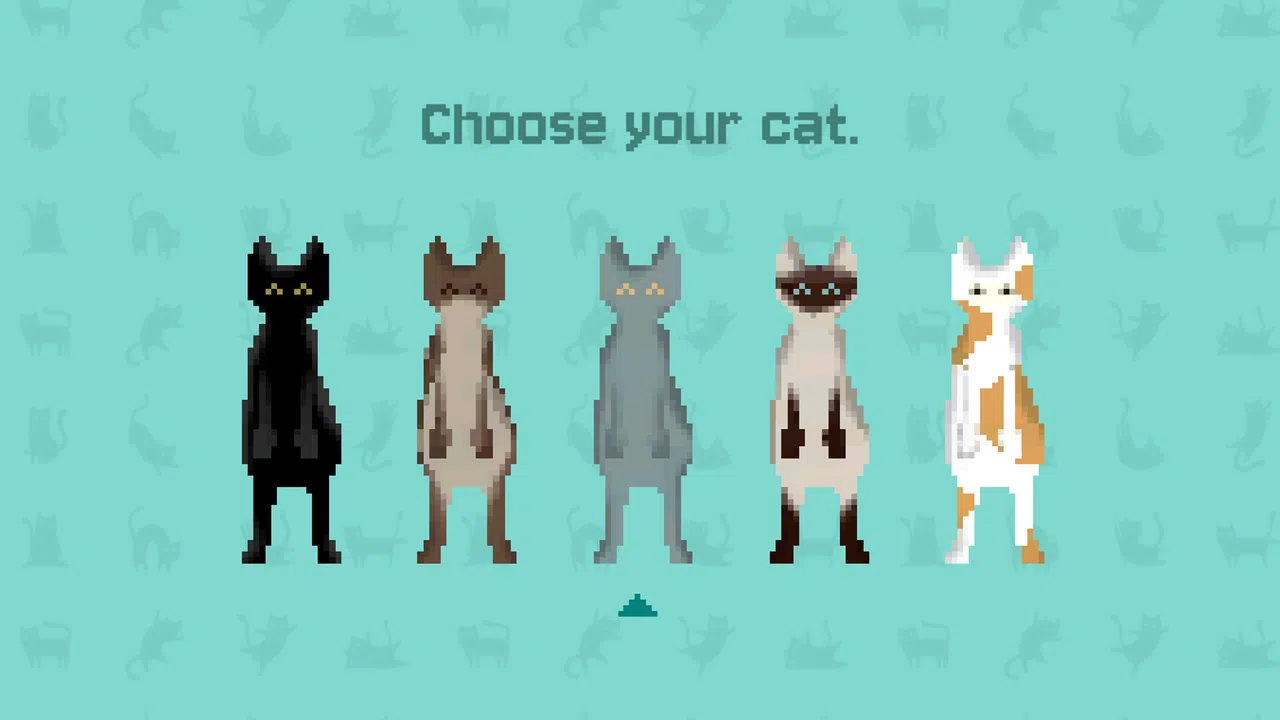 Catnip & Coffee Screenshot 1