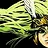 The Peak of the Highest Mountain