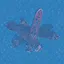 Shipless icon