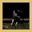 Fishing Expert icon