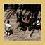 Gambling for Fun icon