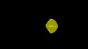 Lither to the Light Screenshot 0