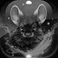 Level 31 icon