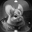 Level 13 icon