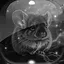 Level 48 icon