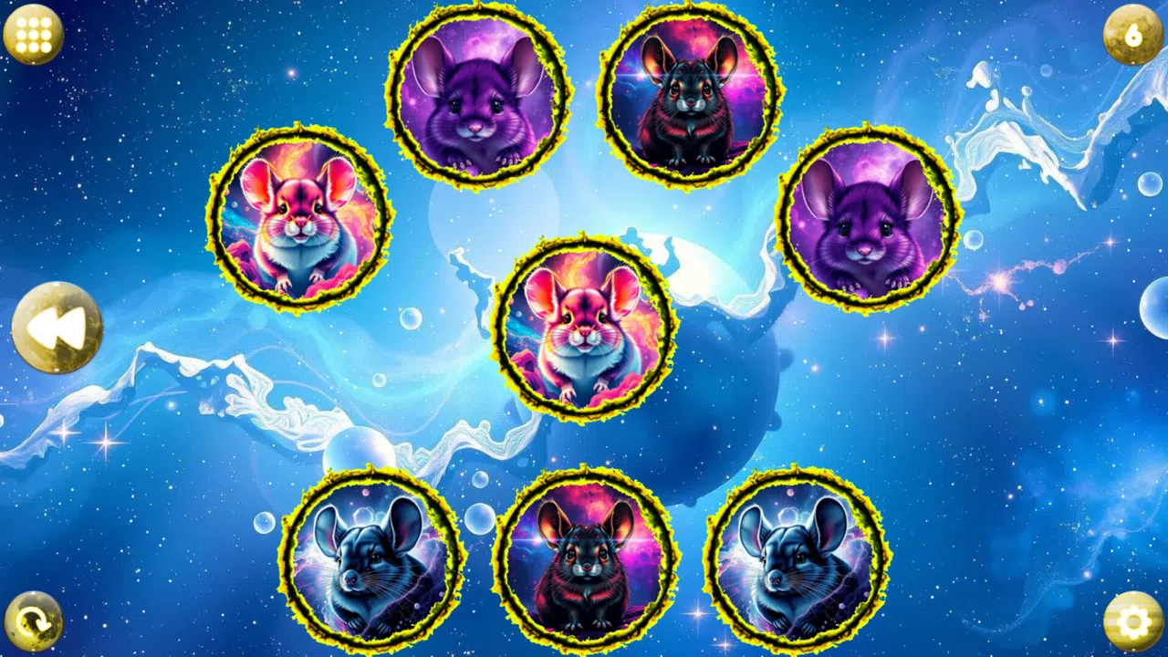 Space Memory: Chinchillas Screenshot 2