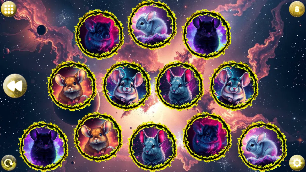 Space Memory: Chinchillas Screenshot 4