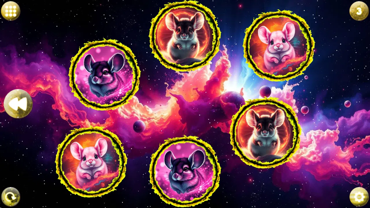 Space Memory: Chinchillas Screenshot 1