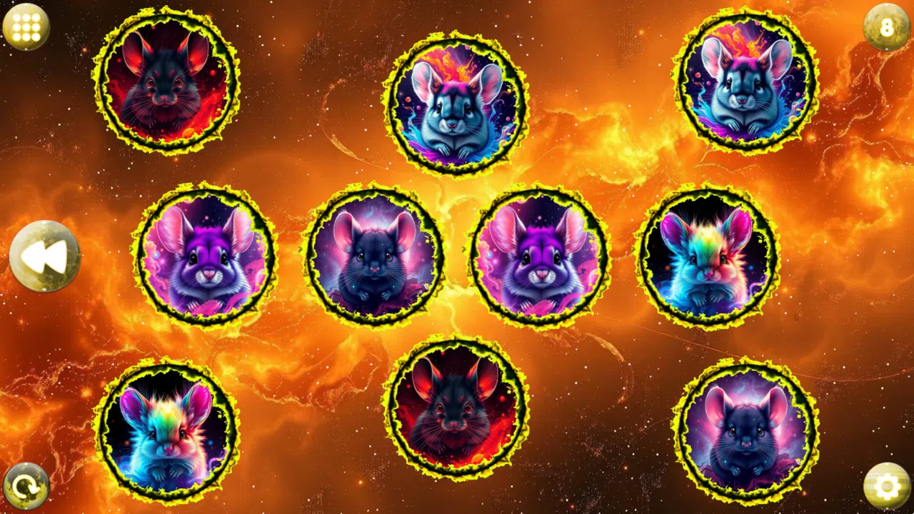 Space Memory: Chinchillas Screenshot 3
