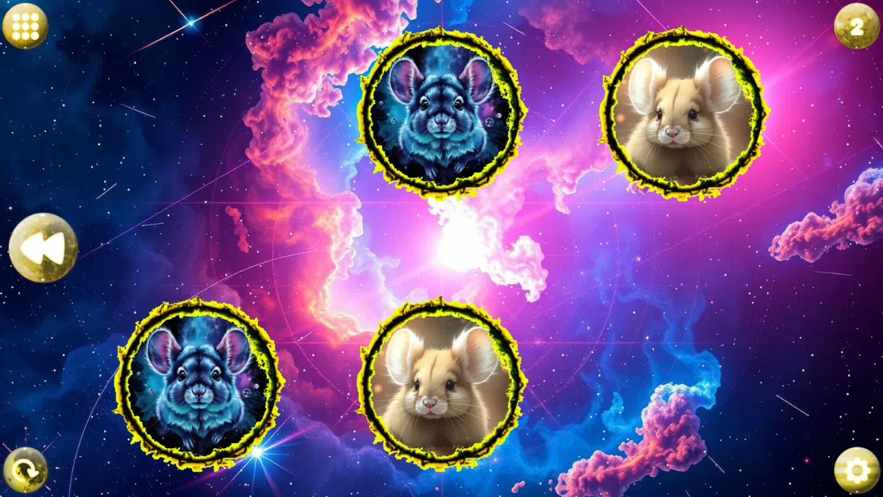 Space Memory: Chinchillas Screenshot 0