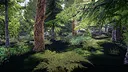 Finnish Forest Screenshot 4
