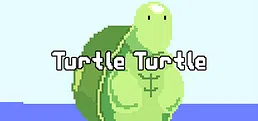 Turtle Turtle