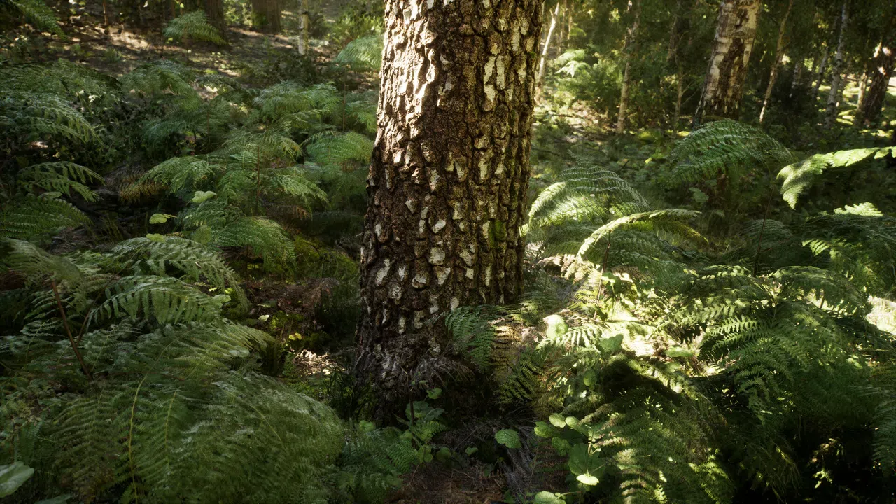 NextVisuals Benchmark Forest Screenshot 3
