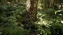 NextVisuals Benchmark Forest Screenshot 3
