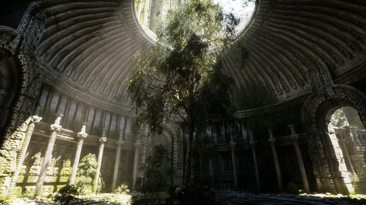 NextVisuals Benchmark Forest Screenshot 2