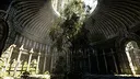 NextVisuals Benchmark Forest Screenshot 2