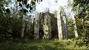NextVisuals Benchmark Forest Screenshot 7